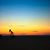 Shafiq Hashimi's profile image