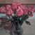 Linda Pannell's profile image