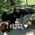 Amy Konjo's profile image