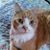 Pam Murphy's profile image