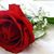 Fatima Taj Alsir's profile image