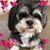 Joselinne Pena's profile image