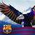 Navi Zedh's profile image