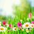 Judy Bricker Ceriani's profile image