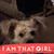 Denise Barrett's profile image
