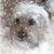 Jean M Allen's profile image