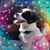 Donna Pease's profile image