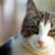 Sonya Thomas's profile image