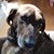 Chip Milligan's profile image