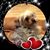 Jimmy Cook's profile image