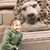 April Watt-Little's profile image