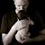 Christopher Sheridan's profile image