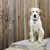 Lori Glin Muldoon's profile image