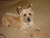 Carla H.'s profile image