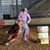 Ansley E Richardson's profile image