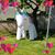 Patty St John's profile image