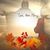 Tillie Morlan's profile image