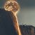 Layne Bowers's profile image