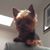 Suz Susan's profile image