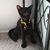 Stacey Tenney's profile image