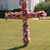Nancy Gallagher's profile image