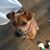Charlene Huggard's profile image