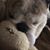 Pamela Magruder-Hargrove's profile image