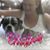 Teri Torres's profile image
