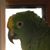 Bonnie Murrell's profile image