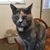 Pat Toth Wilhelm's profile image