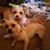 Jodi Wallace's profile image
