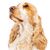 June Frances Mendoza's profile image