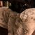 Susan Haslam's profile image