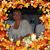 Anna Nowocin-Cardona's profile image