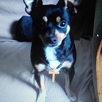 Michael Richard Lyons's profile image