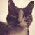 Johnny Tidrick's profile image