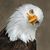 Toby K Culp's profile image
