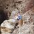 Shannon Winkelman's profile image