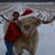 Beth Woudenberg's profile image