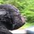 Michael Garr's profile image