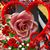 Kristina Smith's profile image