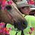 Nickey Bichsel's profile image