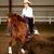 Cindy Katona's profile image