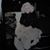 Theresa Farnolo's profile image