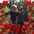 Courtney Fuller Berkheimer's profile image