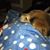 Anna Musante Russette's profile image