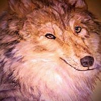 Jennifer Lawson's profile image