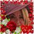 Maureen Kierstead's profile image