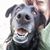 Angela Marie Schleisman-Taviani's profile image