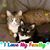 Eileen Mary Cooper's profile image